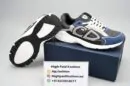 Dior B30 Blue/Grey