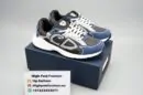 Dior B30 Blue/Grey