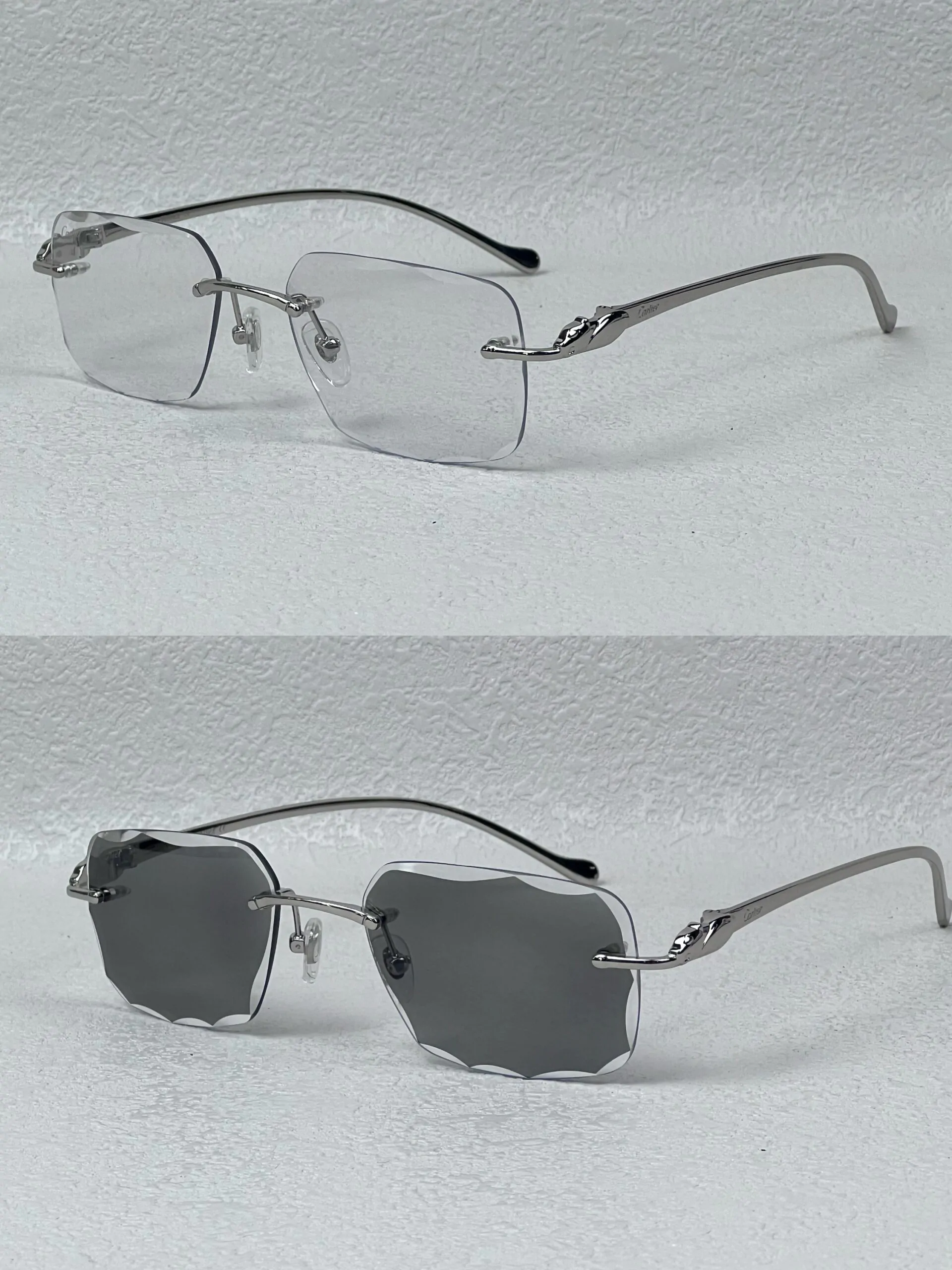 Cartier Zonnebril Zilver CT0120